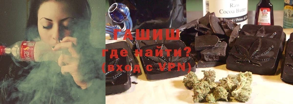 гашик Алексин