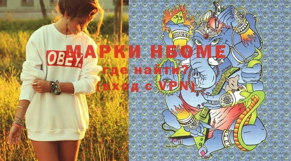 гашик Алексин