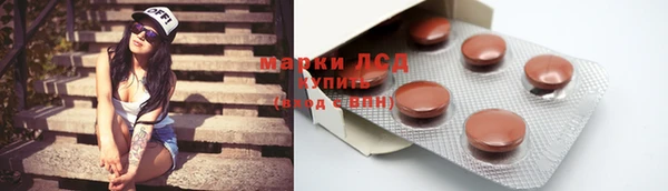 гашик Алексин