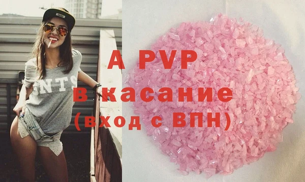 гашик Алексин