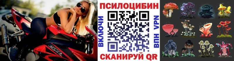 Галлюциногенные грибы мицелий  как найти наркотики  блэк спрут онион  Волгоград 